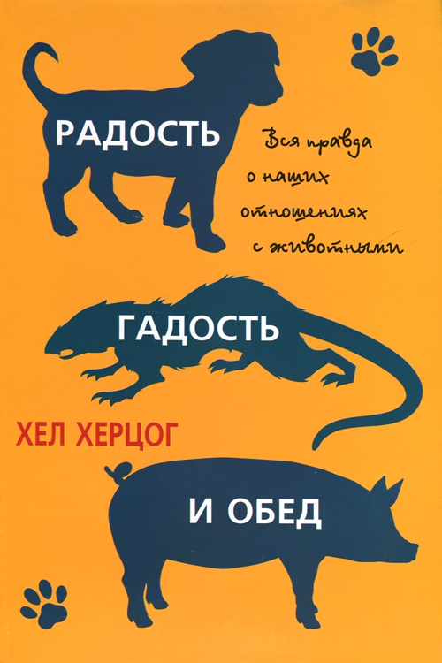 Радость, гадость и обед