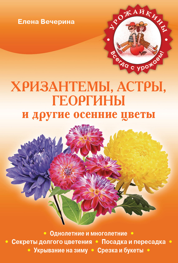 Хризантемы, астры, георгины и другие осенние цветы