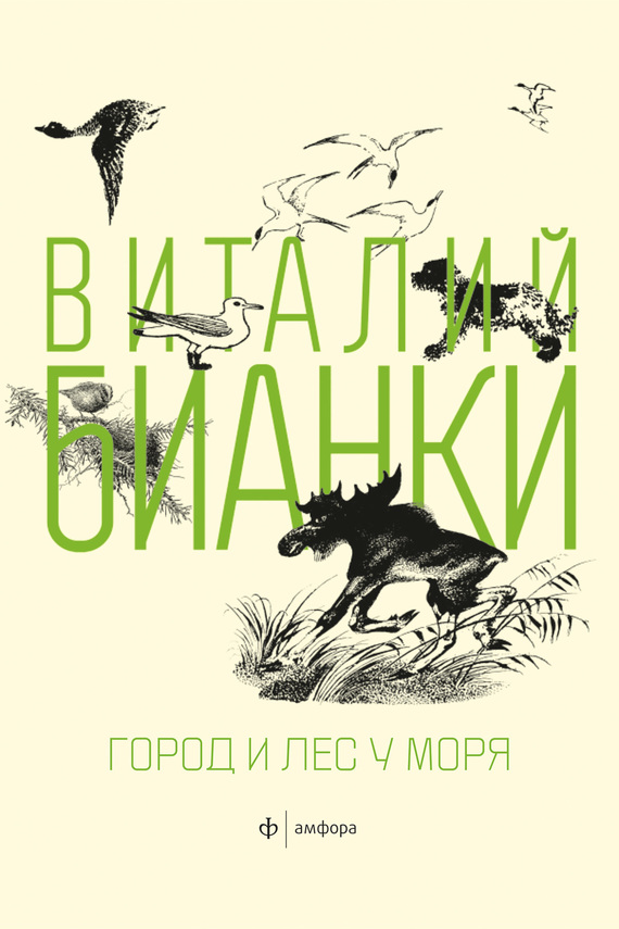 Город и лес у моря