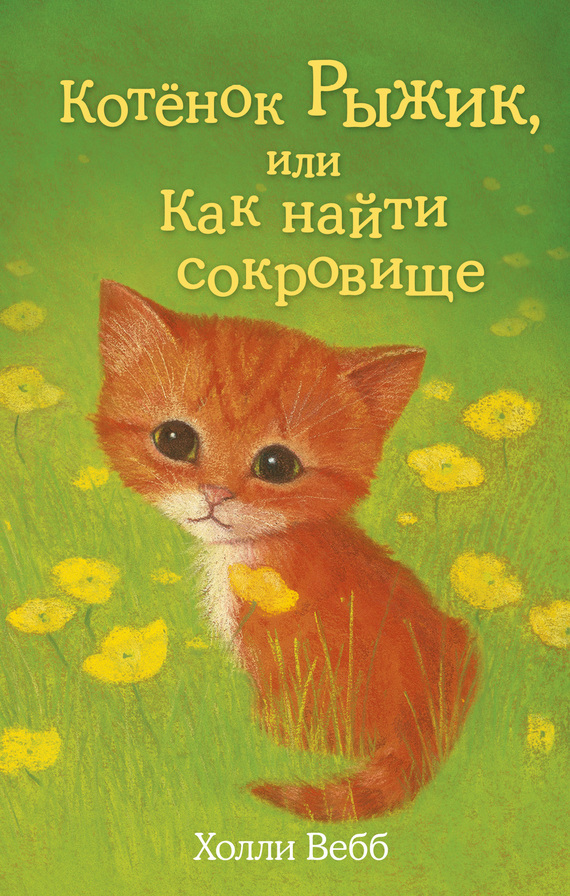 Котёнок Рыжик, или Как найти сокровище