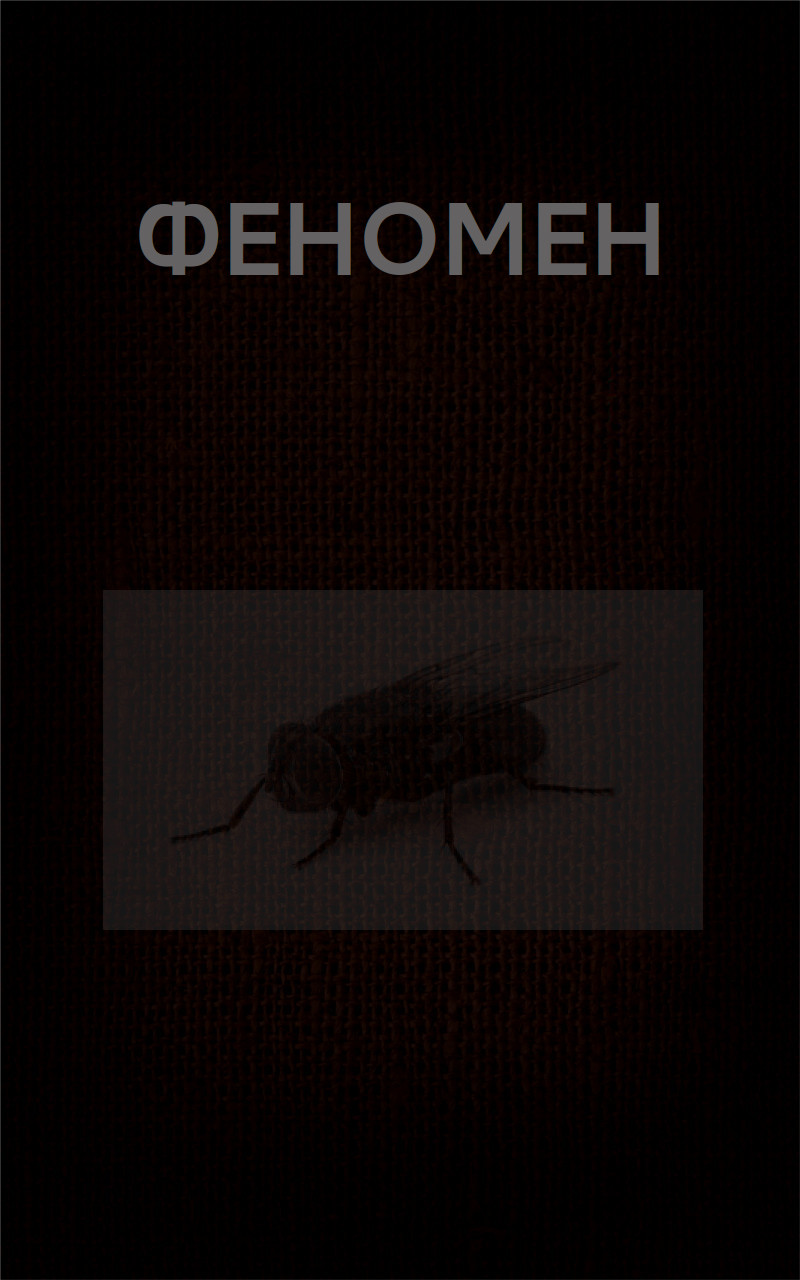 ФЕНОМЕН