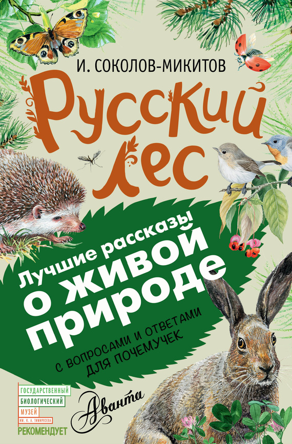 Русский лес. С вопросами и ответами для почемучек