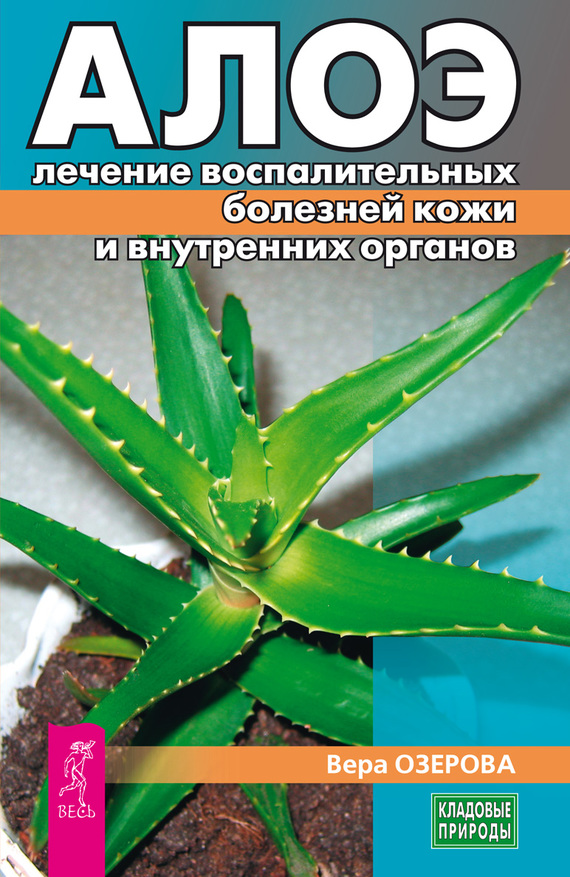 Алоэ: лечение воспалительных болезней кожи и внутренних органов