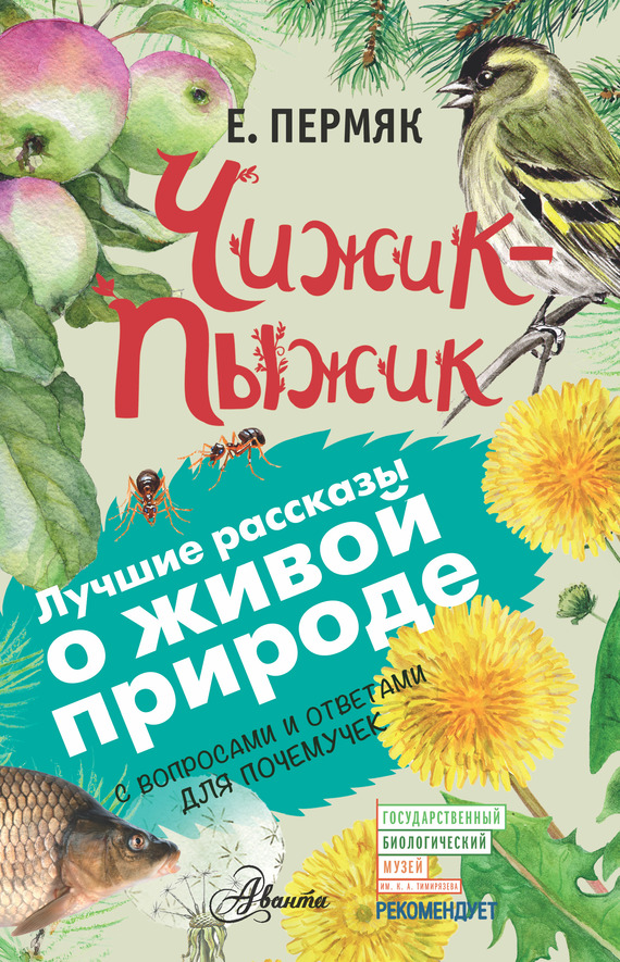Чижик-Пыжик. С вопросами и ответами для почемучек
