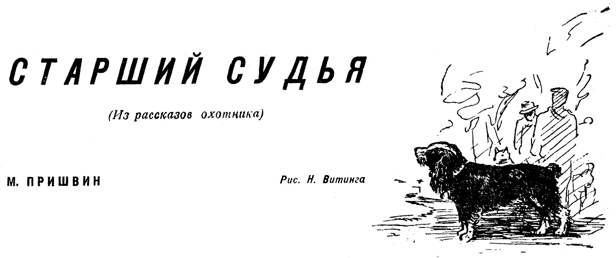 Старший судья