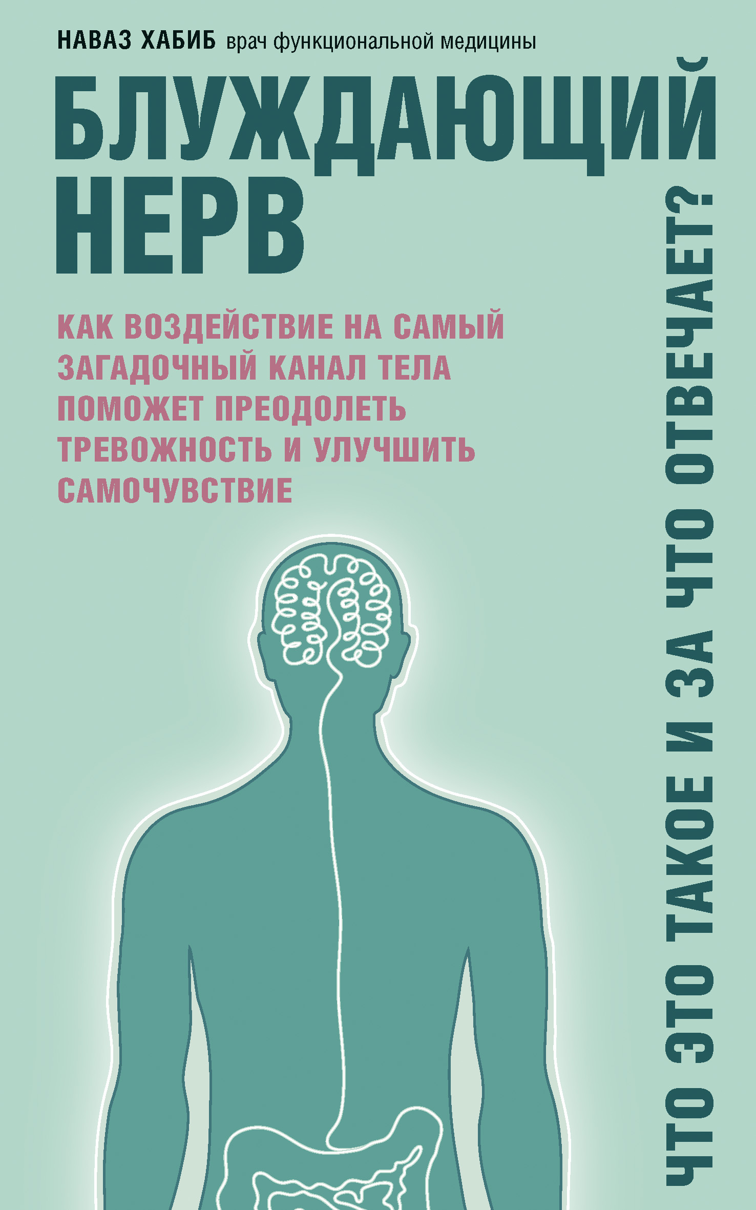 Блуждающий нерв. Что это такое и за что отвечает? Как воздействие на самый загадочный канал тела поможет преодолеть тревожность и улучшить самочувств
