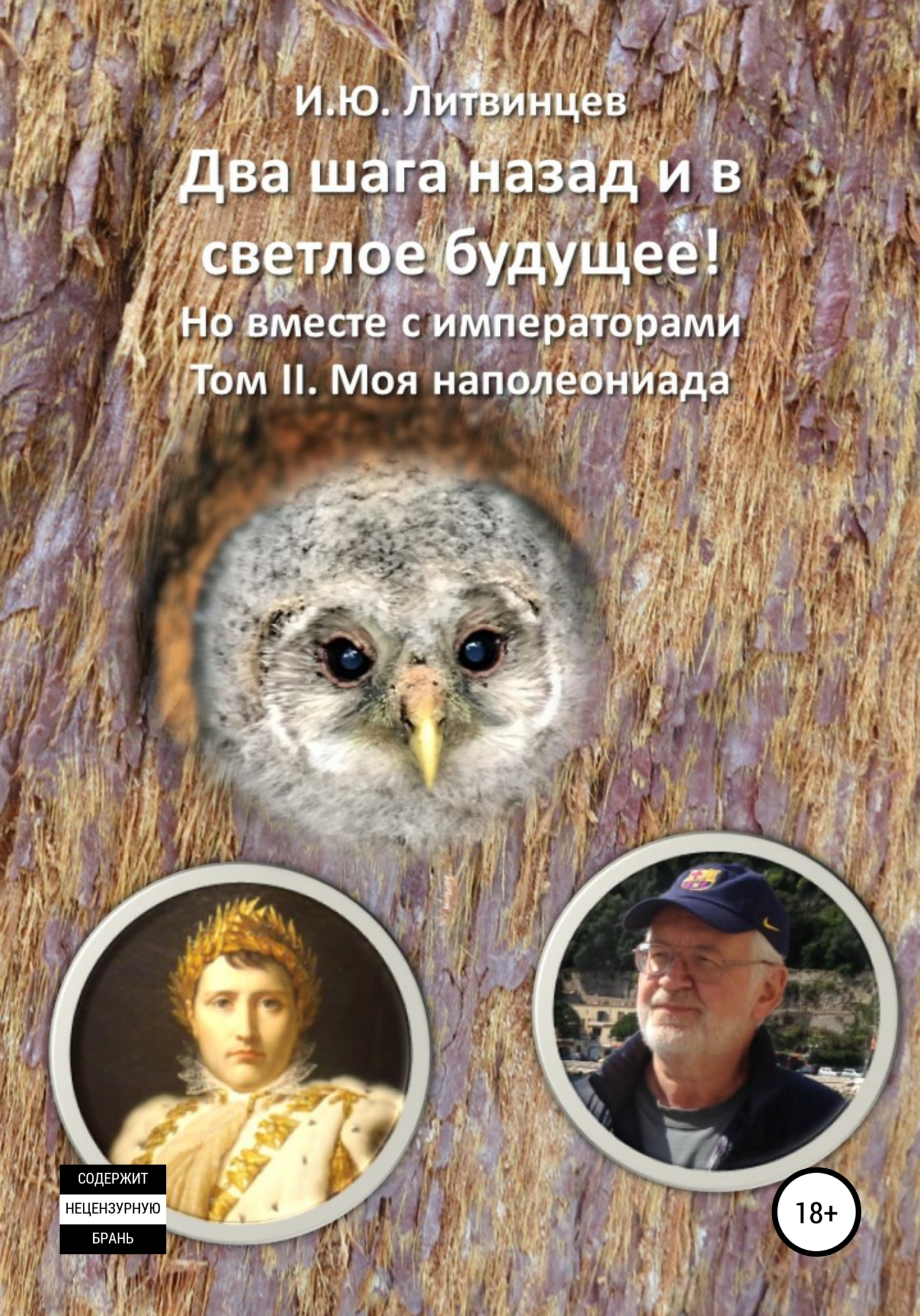 Два шага назад и в светлое будущее! Но вместе с императорами. Том II. Моя наполеониада