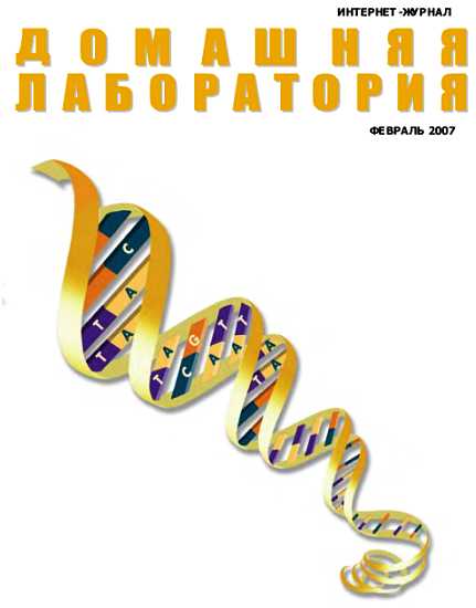 Интернет-журнал "Домашняя лаборатория", 2007 №02