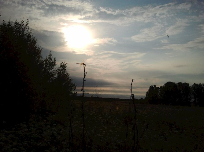 Карл
