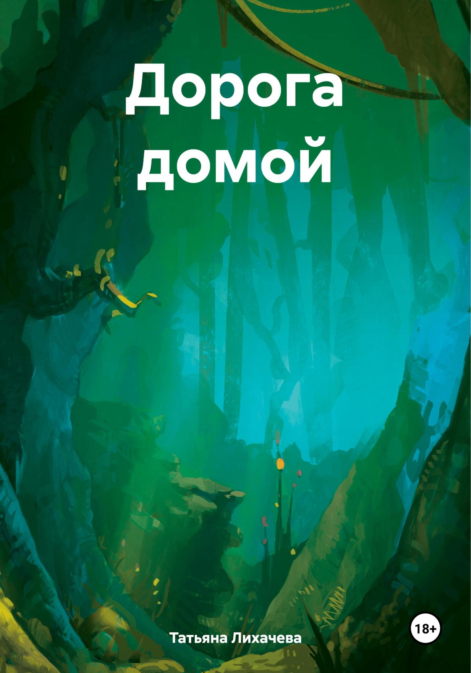 Дорога домой