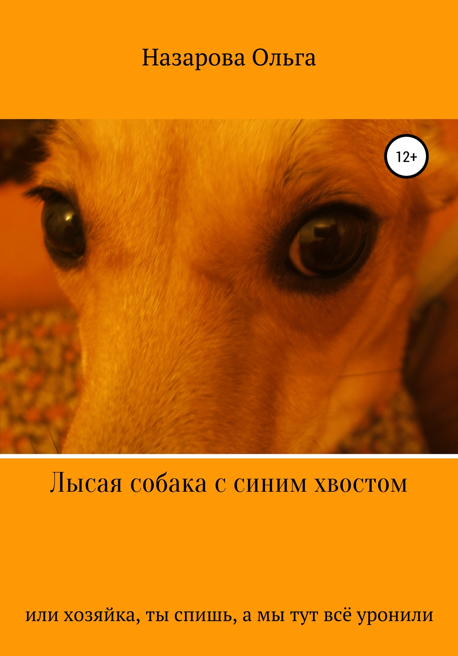Лысая собака с синим хвостом, или, Хозяйка, ты спишь, а мы тут всё уронили!