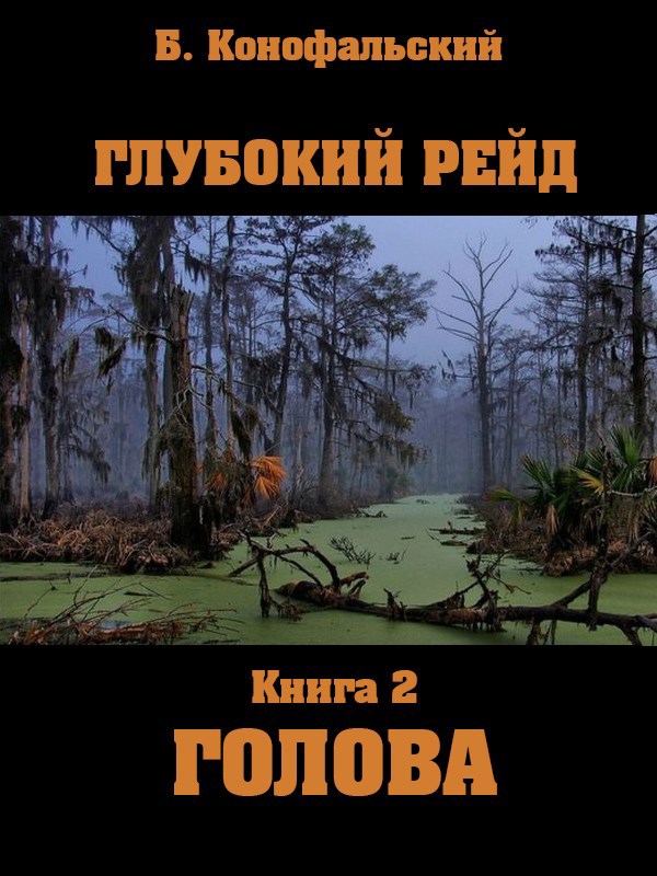 Глубокий рейд. Голова