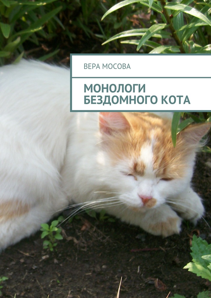 Монологи бездомного кота