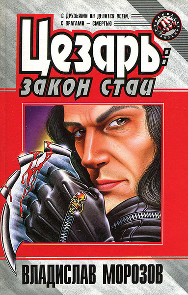 Закон стаи