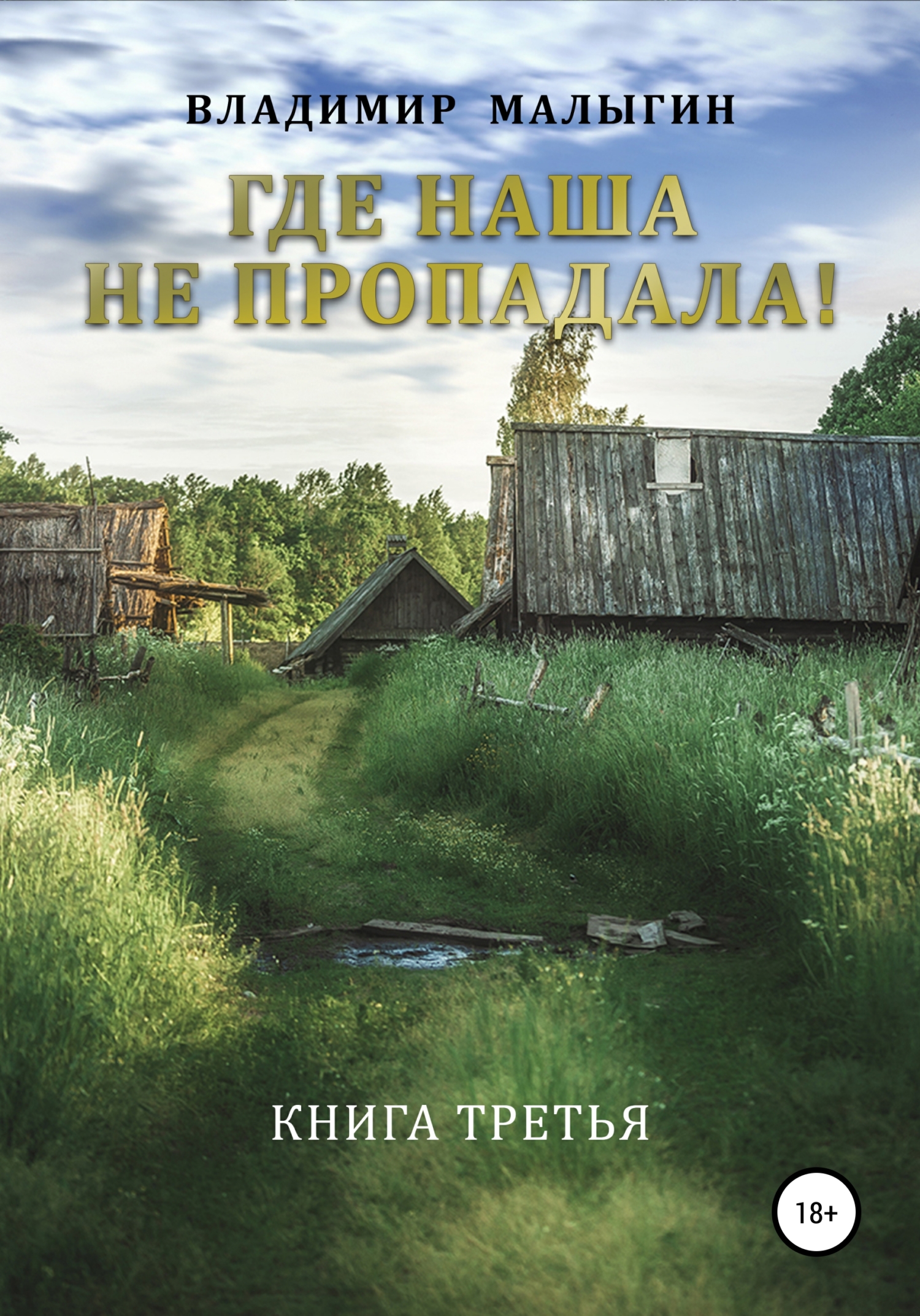 Где наша не пропадала 3