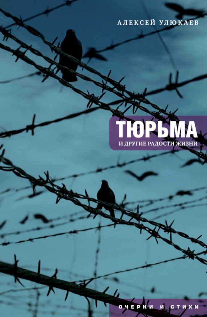 Тюрьма и другие радости жизни. Очерки и стихи