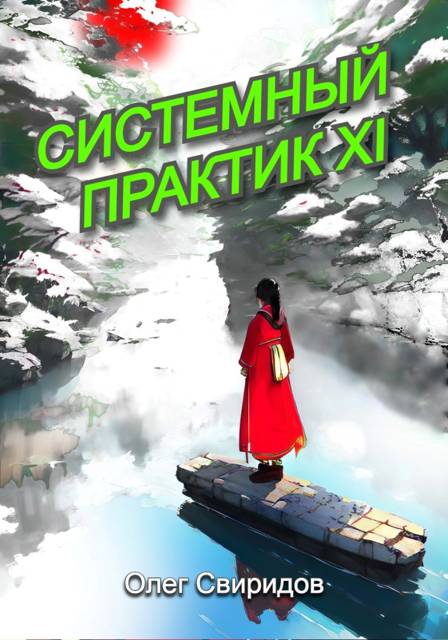 Системный практик XI