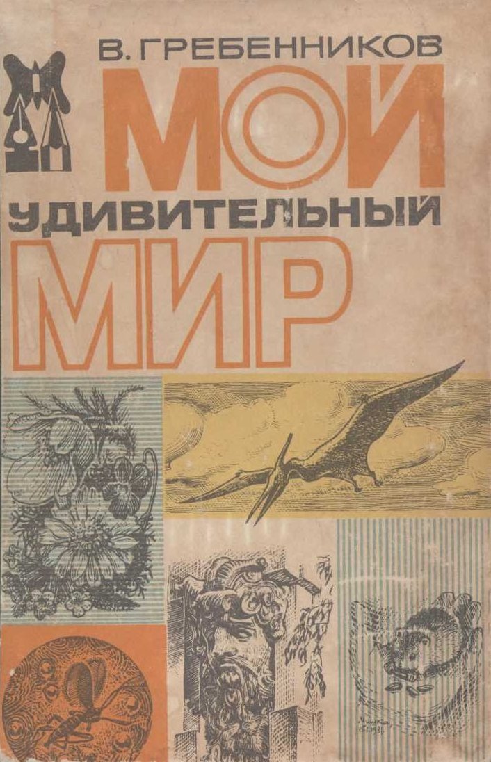 Мой удивительный мир
