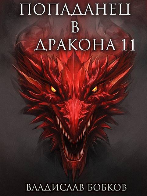 Попаданец в Дракона 11