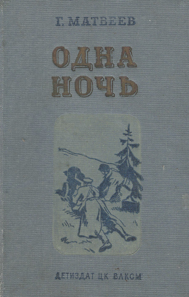 Одна ночь