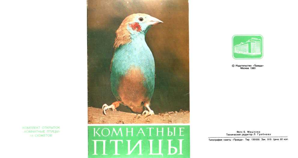 Комнатные птицы